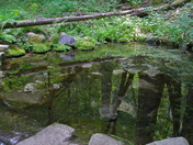 Yosemite National Park