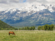 Grand Tetons National Park