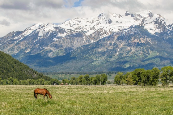 Grand Tetons National Park