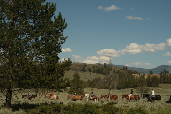 Yellowstone