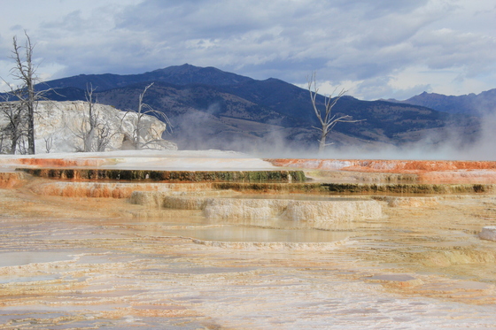 Yellowstone National Park