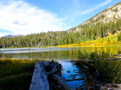 Inyo National Forest