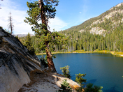 Inyo National Forest