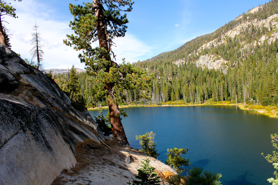 Inyo National Forest