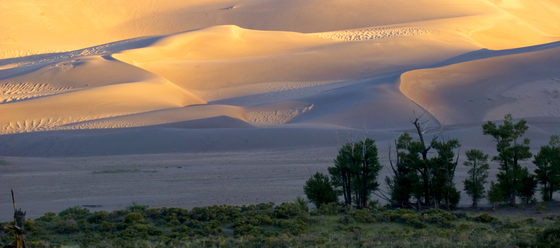 Great Sand Dunes National Park, Co.