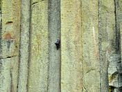 Devils Tower National Monument,Wyoming