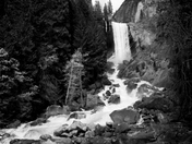 Yosemite National Park California