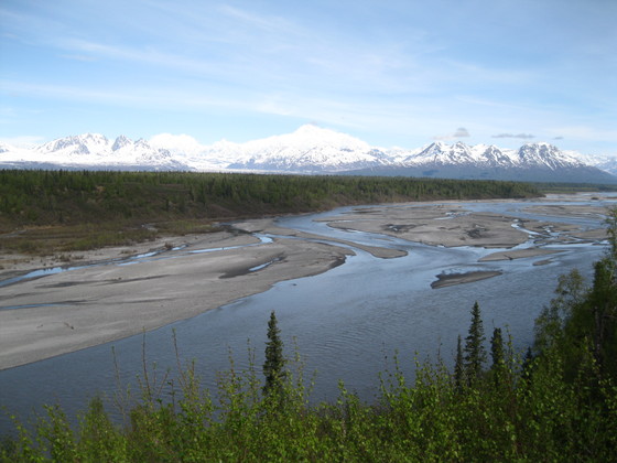 Denali N.P.