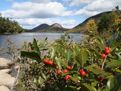 Acadia National Park
