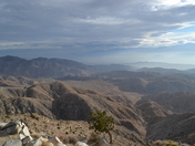 Joshua Tree National Park