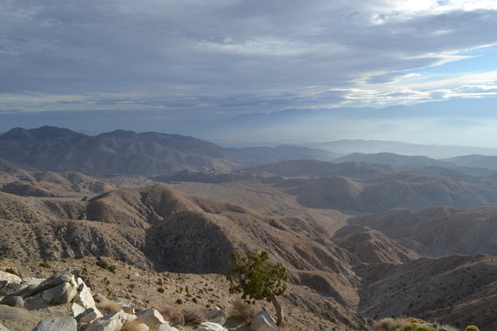 Joshua Tree National Park