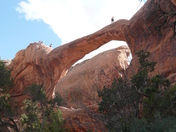 Arches Nat'l Park