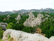 Black Hills National Forest