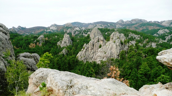 Black Hills National Forest