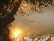 Chattahoochee National Recreation Area