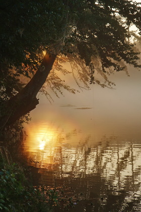 Chattahoochee National Recreation Area