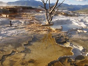 Yellowstone National Park 