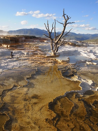 Yellowstone National Park 