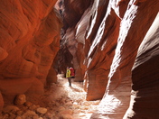 Paria Canyon-Vermillion Cliffs Wilderness