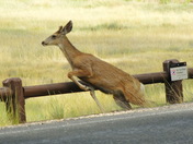 Bryce Canyon National Park