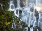 Deutsches National Forest