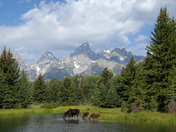 Grand Teton National Park
