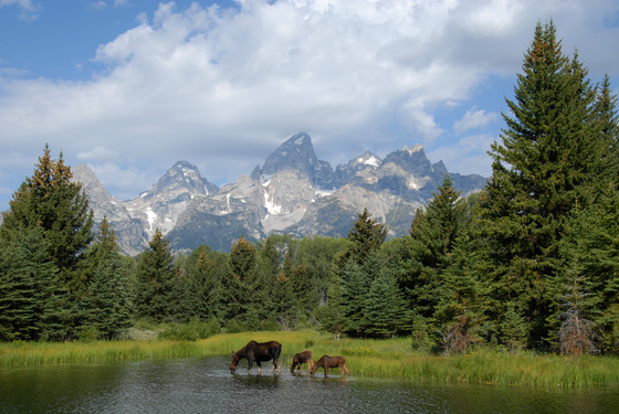 Grand Teton National Park