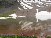 Mount Sneffels Wilderness