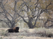 Wind Cave National Park, South Dakota