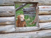 Ashley National Forest Utah