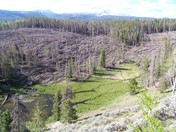 Ashley National Forest Utah