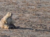 Badlands National Park
