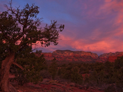 Coconino National Forest