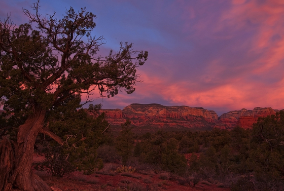 Coconino National Forest