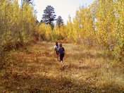 Caribou-Targhee National Forrest