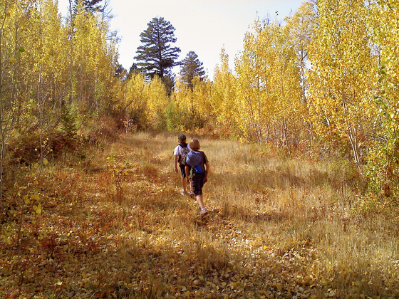 Caribou-Targhee National Forrest