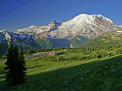 Mt Rainier National Park