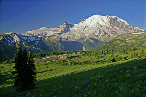 Mt Rainier National Park