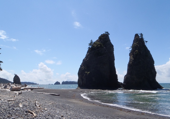Olympic NP