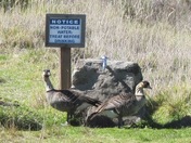 Haleakala National Park