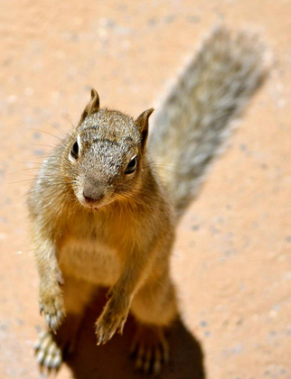 Zion National Park