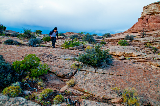 Canyonlands National Park