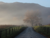 Great Smoky Mountains