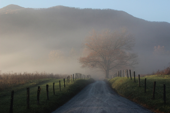 Great Smoky Mountains