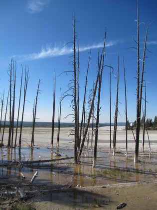 Yellowstone National Park