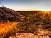 Saguaro National Park