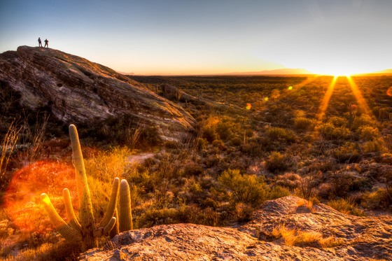 Saguaro National Park