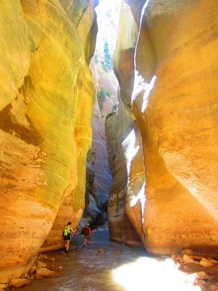 Zion National Park