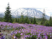 Mount St. Helens National Volcanic Monument