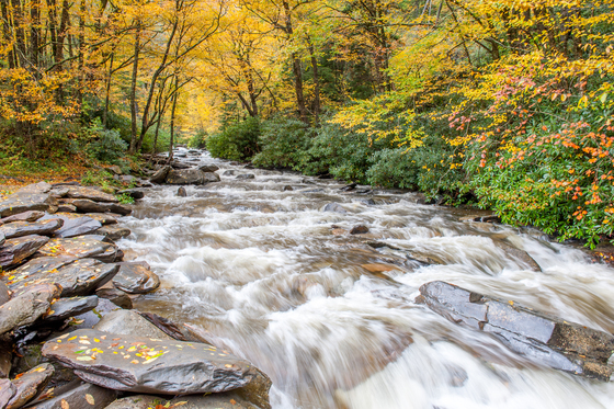 Great Smoky Mountains National Park